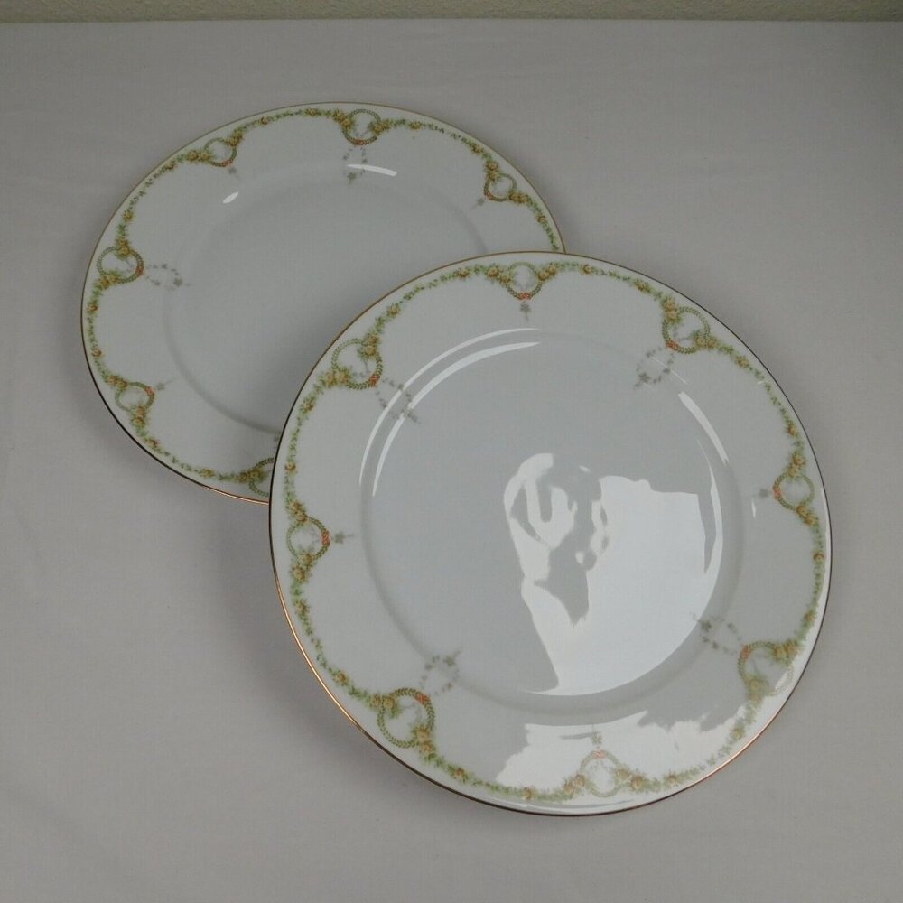 Lot of 2 Rosenthal Continental Briar Rose Fine China 10" Dinner Plate Vintage